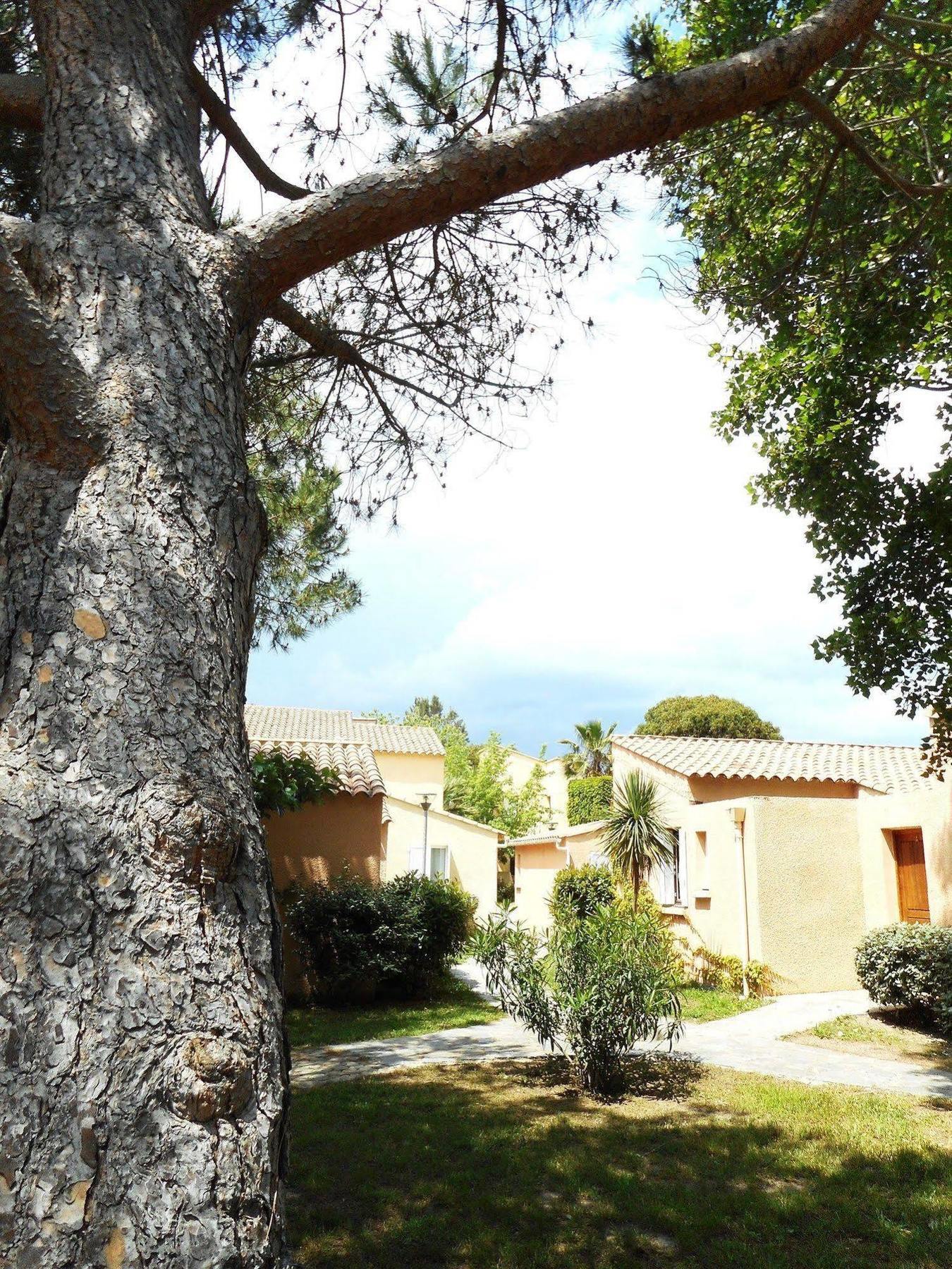 Marina Doru Villa Ghisonaccia Exterior foto